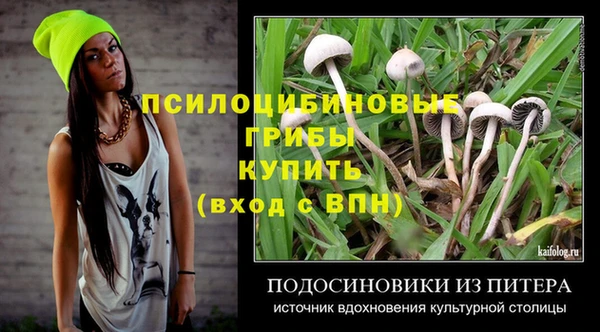 apvp Касимов