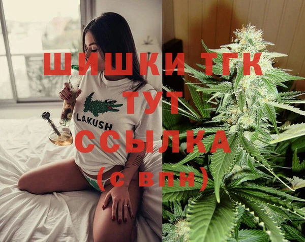 гидропоника Карталы