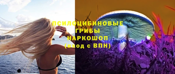 гидропоника Карталы